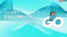 Gin 框架中 c.Param() 方法未定义的解决方案
