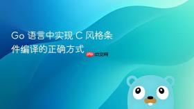 Go 语言中实现 C 风格条件编译的正确方式