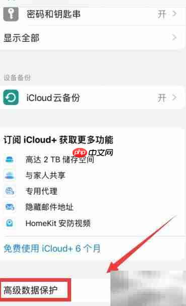 iPhone14 Pro开启iCloud高级保护