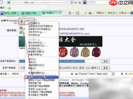 BT下载教程:快速获取网络资源