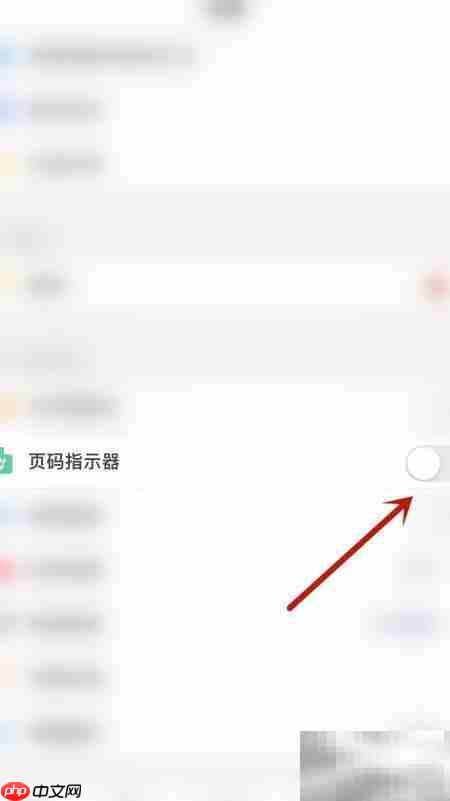 PDF Pro页码指示器开启方法