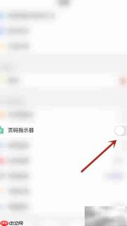 PDF Pro页码指示器开启方法