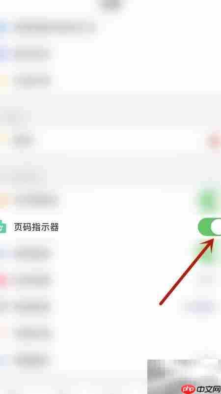 PDF Pro页码指示器开启方法