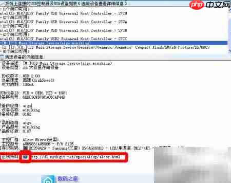 查看U盘芯片与Flash信息