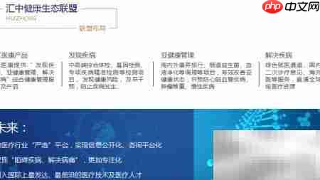 汇中战略生态联盟投资方向