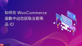 如何在 WooCommerce 函数中动态获取当前商品 ID