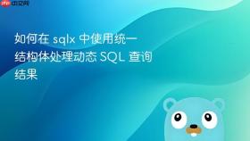 如何在 sqlx 中使用统一结构体处理动态 SQL 查询结果