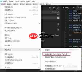 visual Studio Code全局搜索快捷键怎么用