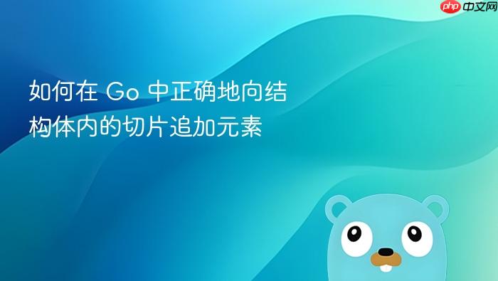 如何在 Go 中正确地向结构体内的切片追加元素