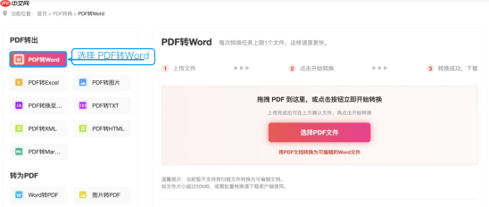 PDF转Word后为什么全是图片?原因和处理方法