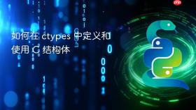 如何在 ctypes 中定义和使用 C 结构体
