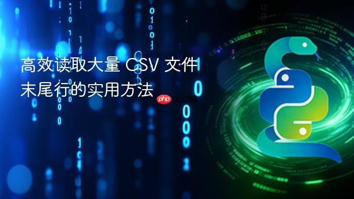 高效读取大量 CSV 文件末尾行的实用方法