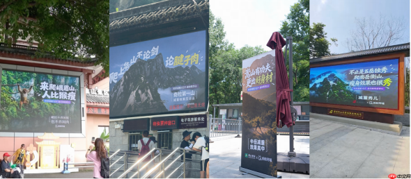 让AI先吃,这个国民级健康难题有解了