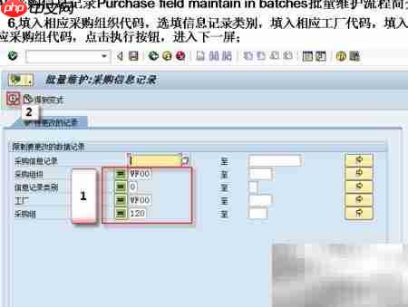 SAP采购信息批量维护