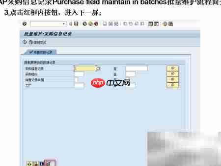 SAP采购信息批量维护