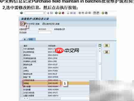 SAP采购信息批量维护