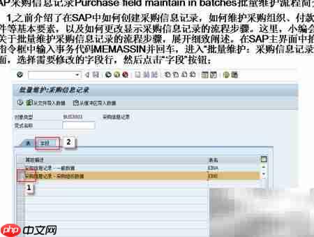 SAP采购信息批量维护