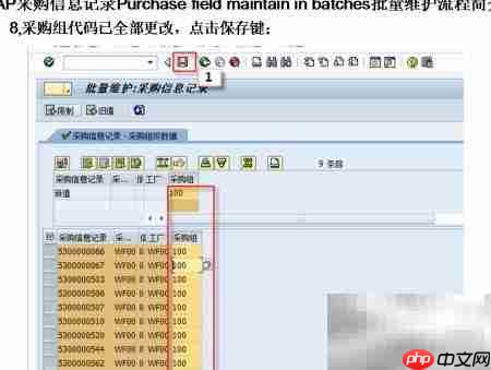 SAP采购信息批量维护
