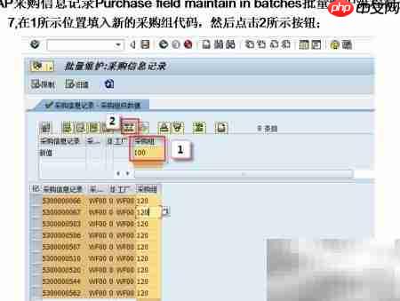 SAP采购信息批量维护