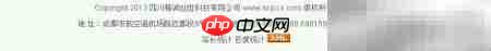 网站统计代码安装指南