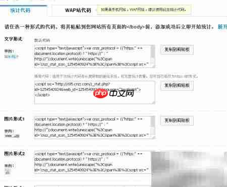 网站统计代码安装指南