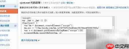 网站统计代码安装指南