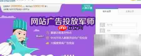 网站统计代码安装指南