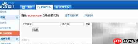 网站统计代码安装指南