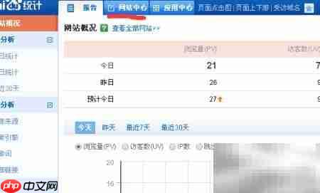 网站统计代码安装指南