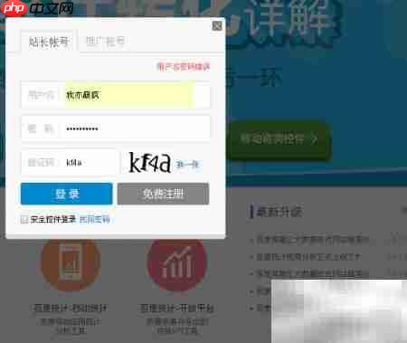 网站统计代码安装指南