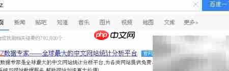 网站统计代码安装指南