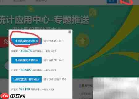网站统计代码安装指南
