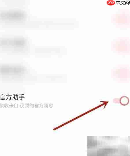 KK视频官方助手开通指南