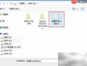 Win8PE删除顽固文件技巧