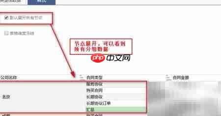 数据分析软件表格设置指南