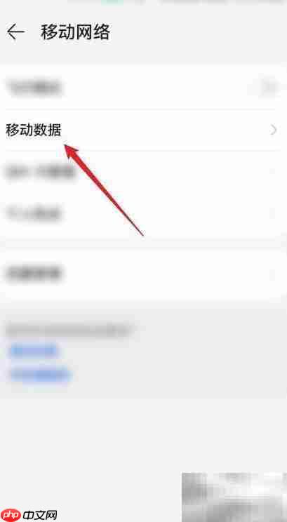 鸿蒙3.0开启移动数据指南