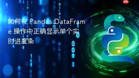 如何在 Pandas DataFrame 操作中正确显示单个实时进度条