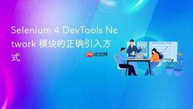 Selenium 4 DevTools Network 模块的正确引入方式