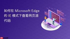 如何在 Microsoft Edge 的 IE 模式下查看网页源代码
