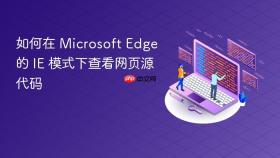 如何在 Microsoft Edge 的 IE 模式下查看网页源代码