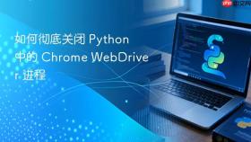 如何彻底关闭 Python 中的 Chrome WebDriver 进程