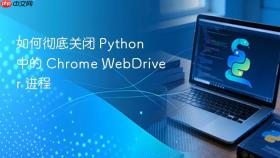 如何彻底关闭 Python 中的 Chrome WebDriver 进程