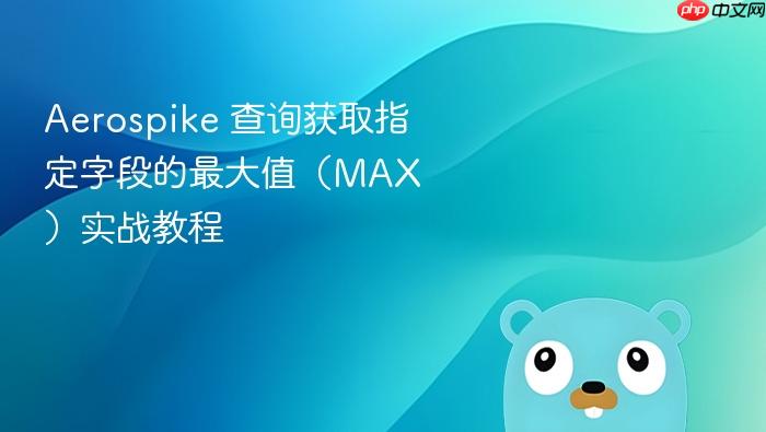 Aerospike 查询获取指定字段的最大值(MAX)实战教程