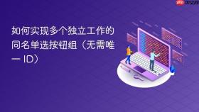 如何实现多个独立工作的同名单选按钮组(无需唯一 ID)