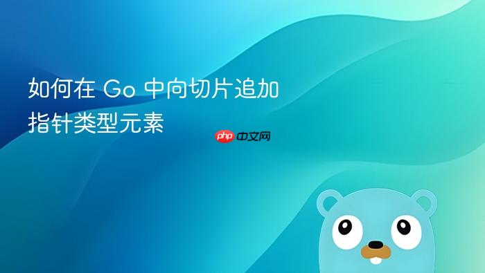 如何在 Go 中向切片追加指针类型元素