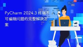 PyCharm 2024.3 终端不可编辑问题的完整解决方案
