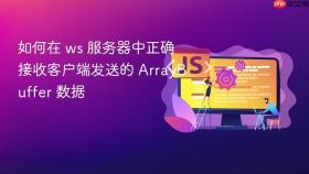 如何在 ws 服务器中正确接收客户端发送的 ArrayBuffer 数据
