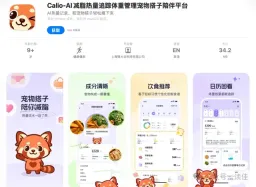 哈啰推出AI减脂APP“Calio”,AI能否成为哈啰新叙事?