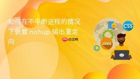 如何在不中断进程的情况下恢复 nohup 输出重定向