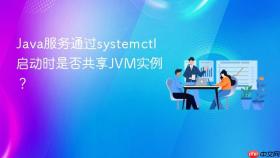 Java服务通过systemctl启动时是否共享JVM实例?